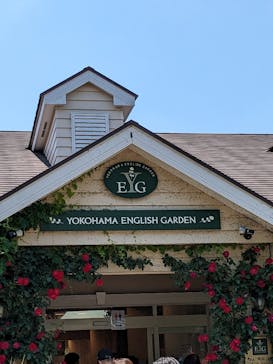 横浜イングリッシュガーデンに投稿された画像（2023/6/17）