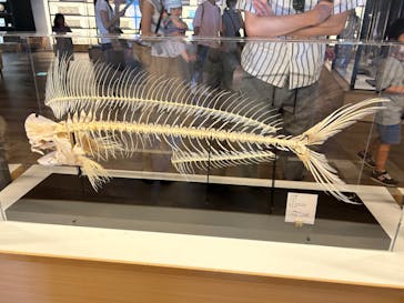 アクアワールド茨城県大洗水族館に投稿された画像（2023/6/17）