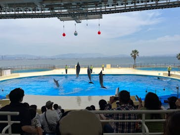 マリンワールド海の中道に投稿された画像（2023/6/17）