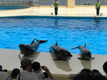 マリンワールド海の中道に投稿された画像（2023/6/17）