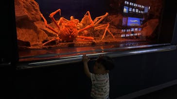 マリンワールド海の中道に投稿された画像（2023/6/17）