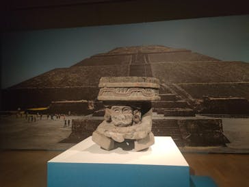 特別展「古代メキシコーマヤ、アステカ、テオティワカン」に投稿された画像（2023/6/17）
