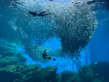 仙台うみの杜水族館に投稿された画像（2023/6/17）