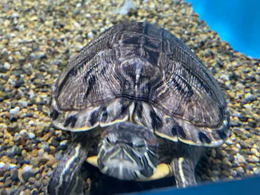 仙台うみの杜水族館に投稿された画像（2023/6/17）