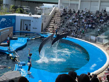 仙台うみの杜水族館に投稿された画像（2023/6/17）