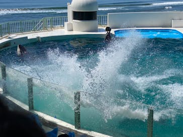 鴨川シーワールドに投稿された画像（2023/6/17）