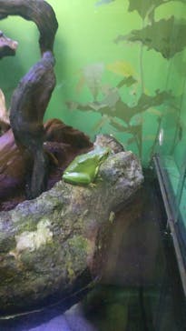 サンシャイン水族館に投稿された画像（2023/6/17）