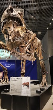 特別展「恐竜博2023」に投稿された画像（2023/6/17）