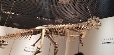 特別展「恐竜博2023」に投稿された画像（2023/6/17）