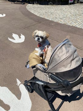 伊豆ぐらんぱる公園に投稿された画像（2023/6/17）