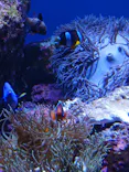 仙台うみの杜水族館に投稿された画像（2023/6/17）
