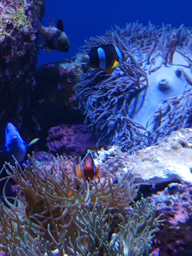 仙台うみの杜水族館に投稿された画像（2023/6/17）
