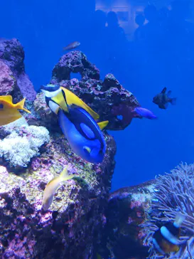 仙台うみの杜水族館に投稿された画像（2023/6/17）