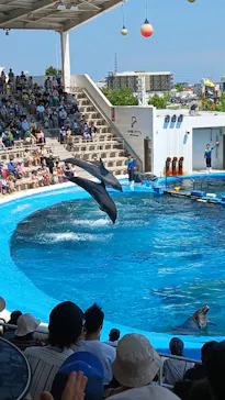 仙台うみの杜水族館に投稿された画像（2023/6/17）