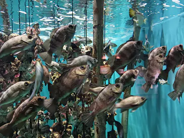 仙台うみの杜水族館に投稿された画像（2023/6/17）