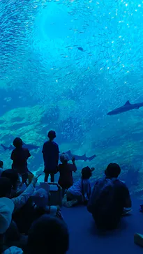 仙台うみの杜水族館に投稿された画像（2023/6/17）