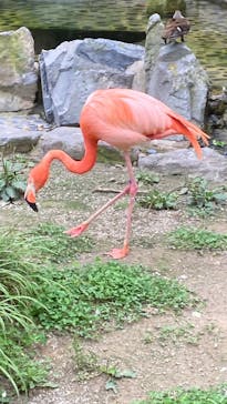 到津の森公園に投稿された画像（2023/6/17）