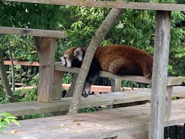 到津の森公園に投稿された画像（2023/6/17）