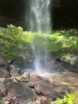 ジャパンだるまツアーに投稿された画像（2023/6/17）