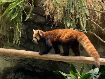 神戸どうぶつ王国に投稿された画像（2023/6/17）