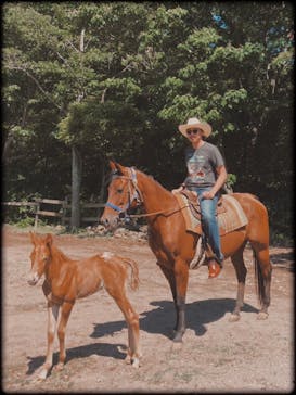 HORSE BASE（ホース ベース）に投稿された画像（2023/6/17）