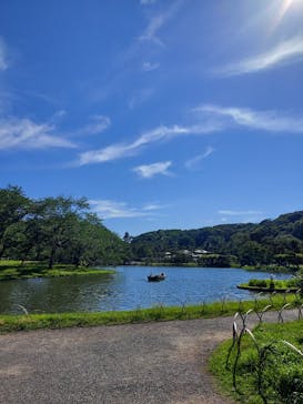 三溪園に投稿された画像（2023/6/17）