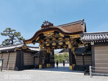 元離宮二条城に投稿された画像（2023/6/17）