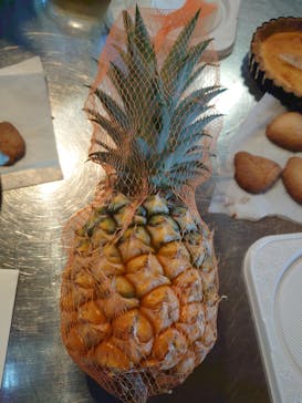 松阪農業公園ベルファームに投稿された画像（2023/6/17）