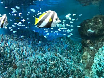 サンシャイン水族館に投稿された画像（2023/6/17）