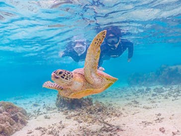 宮古島マリン GB QUESTに投稿された画像（2023/6/17）