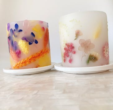 ずこうしつ〜sugamo〜に投稿された画像（2023/6/17）