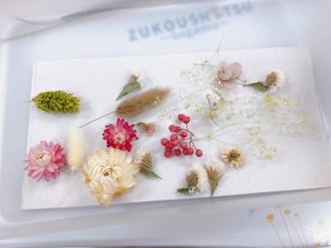 ずこうしつ〜sugamo〜に投稿された画像（2023/6/17）