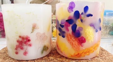 ずこうしつ〜sugamo〜に投稿された画像（2023/6/17）