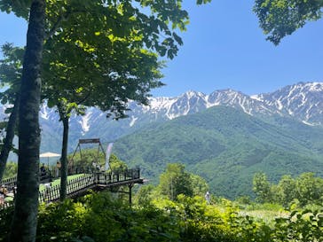 白馬岩岳マウンテンリゾートに投稿された画像（2023/6/17）