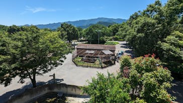 群馬サファリパークに投稿された画像（2023/6/17）