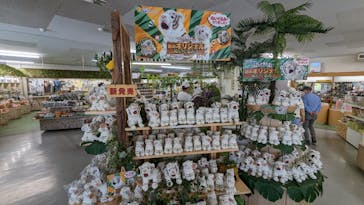 群馬サファリパークに投稿された画像（2023/6/17）