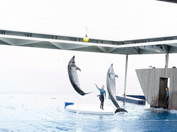 上越市立水族博物館 うみがたりに投稿された画像（2023/6/17）