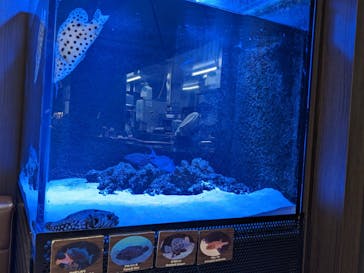 上越市立水族博物館 うみがたりに投稿された画像（2023/6/17）