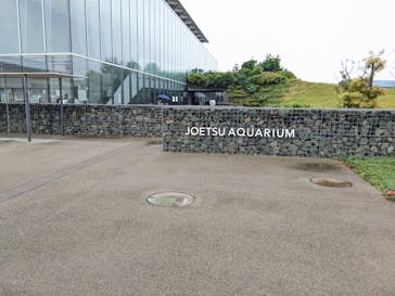 上越市立水族博物館 うみがたりに投稿された画像（2023/6/17）