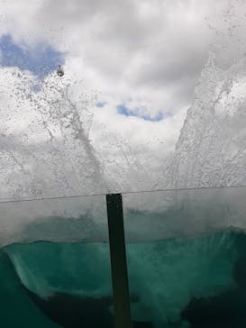 鴨川シーワールドに投稿された画像（2023/6/17）