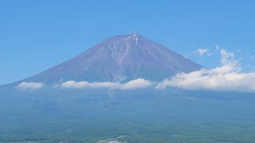 まかいの牧場に投稿された画像（2023/6/17）