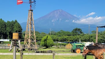 まかいの牧場に投稿された画像（2023/6/17）
