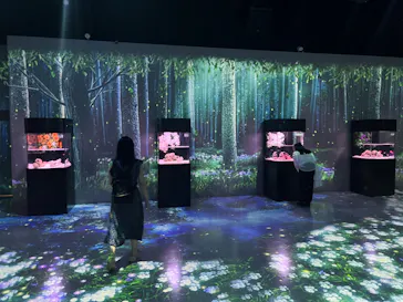 マクセル アクアパーク品川に投稿された画像（2023/6/17）