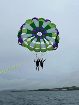 ブルーシーサーに投稿された画像（2023/6/17）