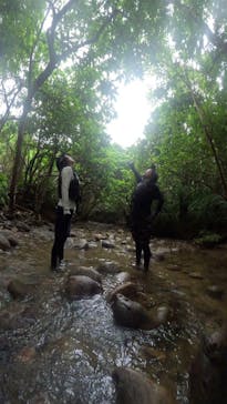 西表島 ADVENTURE PiPi（アドベンチャーピピ）に投稿された画像（2023/6/17）