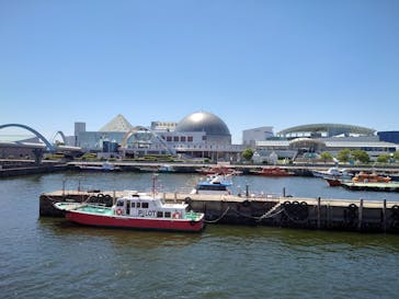 名古屋港水族館に投稿された画像（2023/6/17）