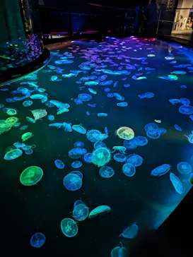 すみだ水族館に投稿された画像（2023/6/17）