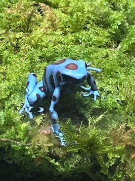 体感型動物園iZooに投稿された画像（2023/6/17）