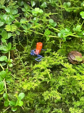 体感型動物園iZooに投稿された画像（2023/6/17）