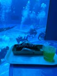 沖縄美ら海水族館に投稿された画像（2023/6/18）
